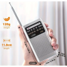 Radio PPMS